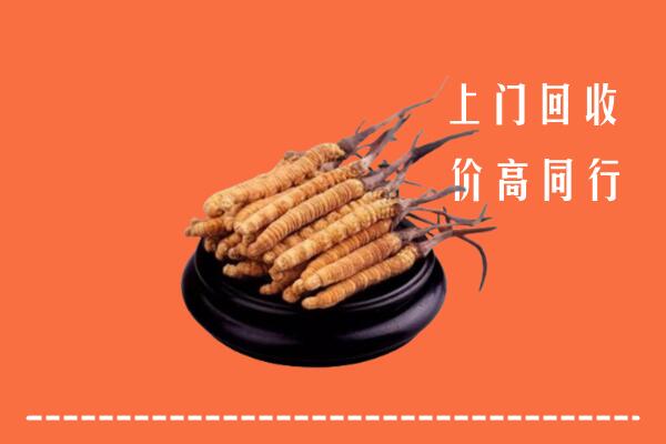 高价求购：包头回收散虫草